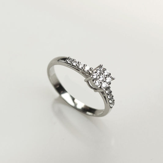 The Starlight Cluster