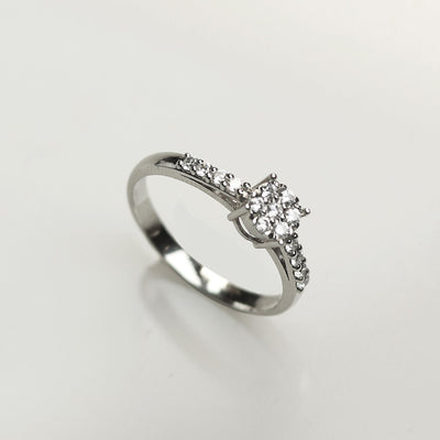 The Starlight Cluster